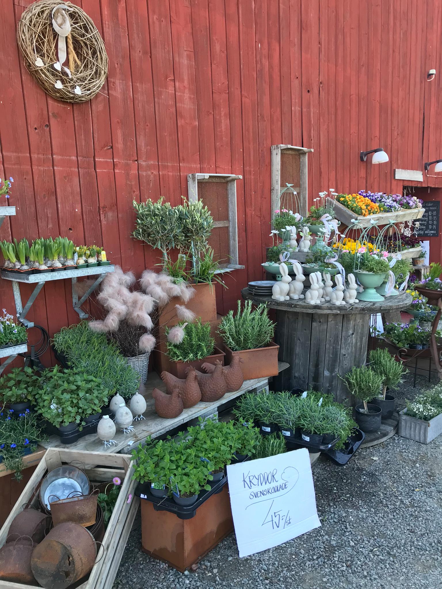 Brukets Godaste blommor