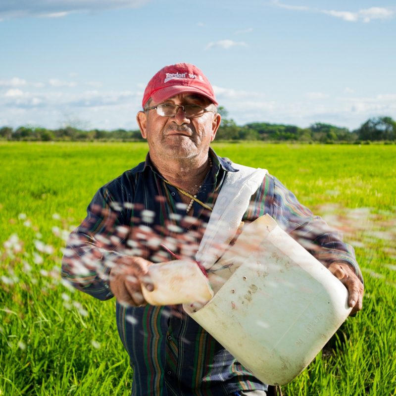 countryside-farm-farmer-50715-1-800×800